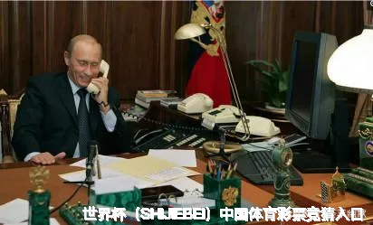 我们的故事：从热爱到专业